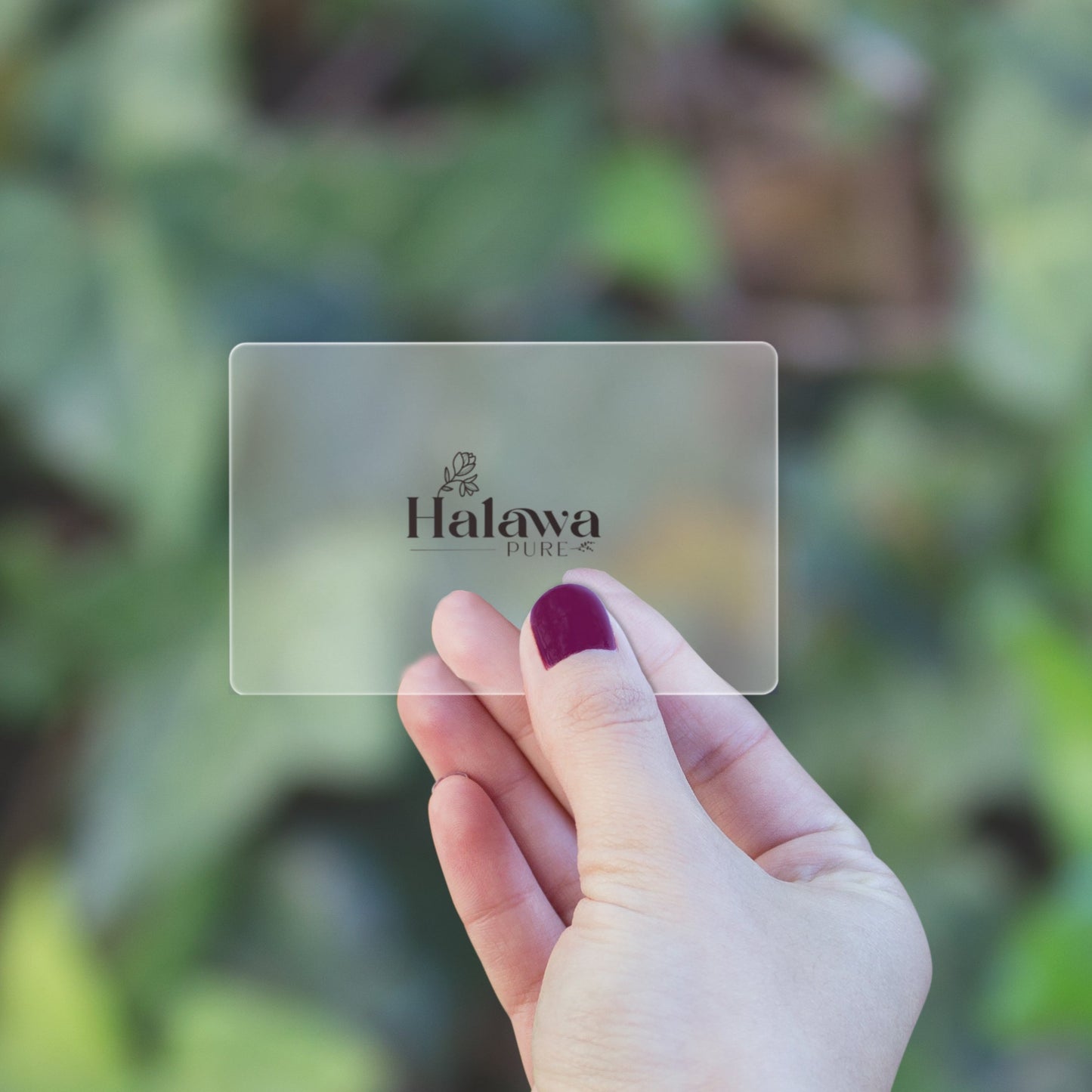 Halawa Applicator Card